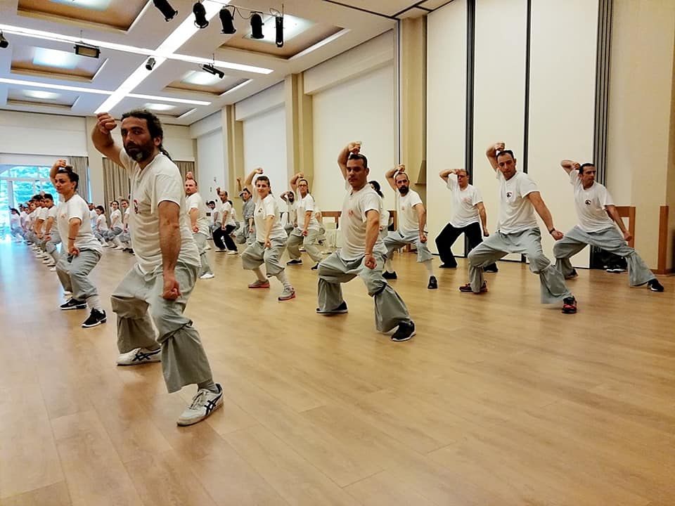 56461111 1080732735445544 559957490792398848 n