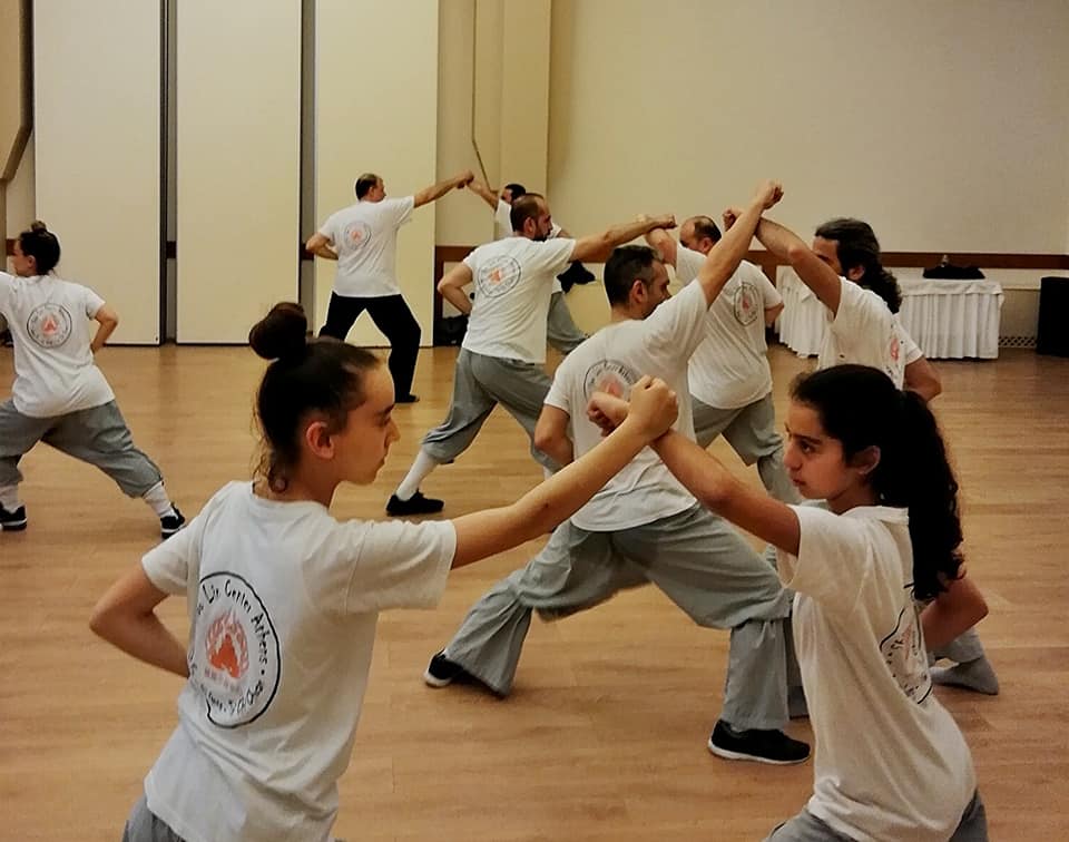 56593606 1080733155445502 4918144364632342528 n