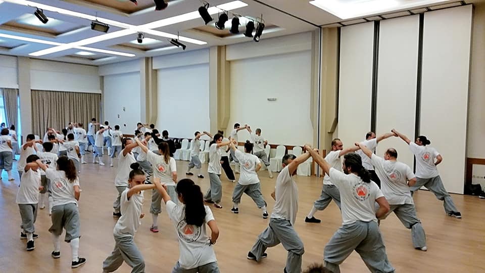 56644985 1080733118778839 7622429080419303424 n