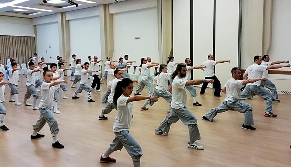 56795564 1080732815445536 3488877706353836032 n