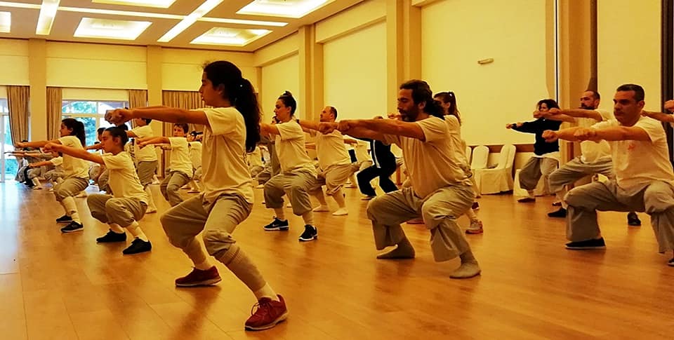 57233982 1080732968778854 5984589060671275008 n